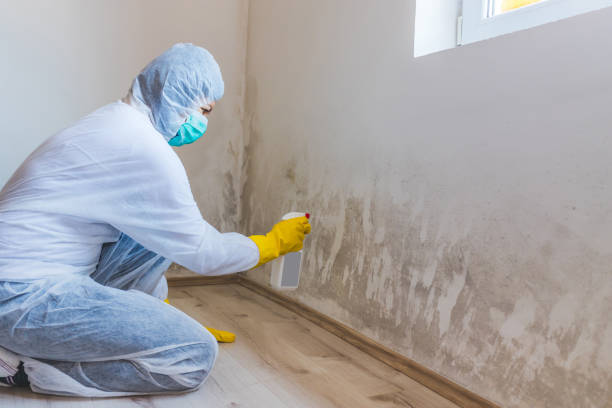 Licensed Commercial Mold Remediation service in Altoona, PA - WQB Mold Removal