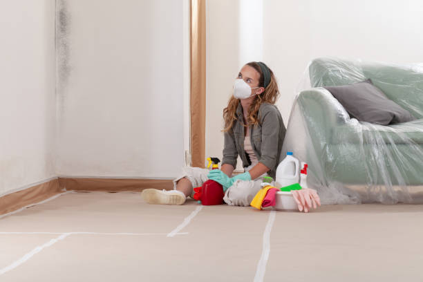 Reliable Commercial Mold Remediation contractor in Altoona, PA by WQB Mold Removal